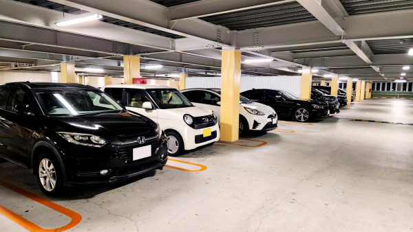 大型台風の接近に伴いハリウッドの駐車場を 一次避難場所として開放